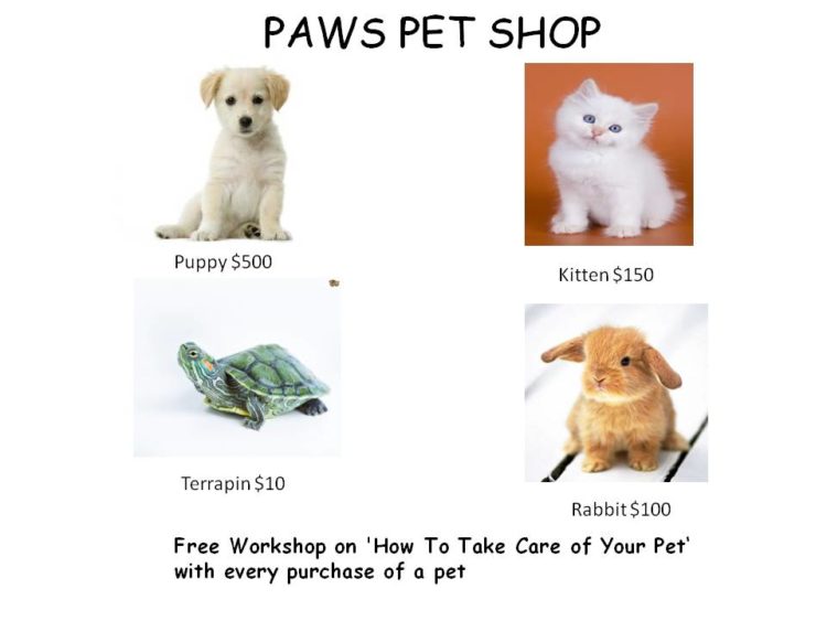 English Oral model Pet Shop - Primary 4 illustration