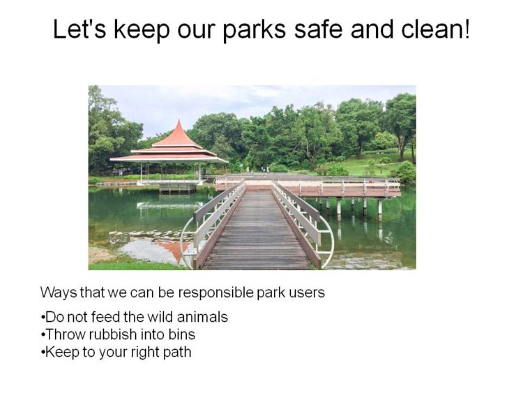 P5 Stimulus-Based Conversation Theme Responsible park user